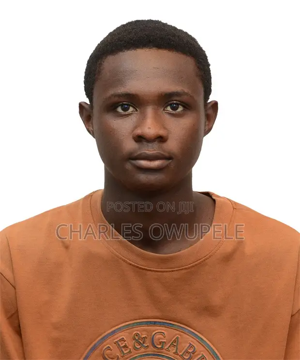Driver CV - Charles - 1