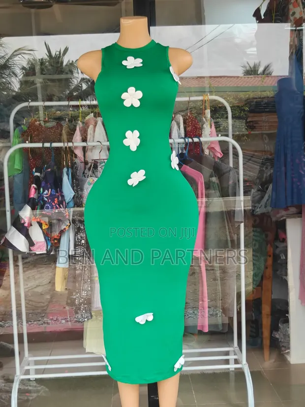 Ladies Bodycon Dress - 1