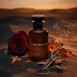 Louis Vuitton Ombre Nomade Eau de Parfum (100ml) - 1