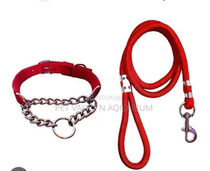 Dog/Cat Leash - Brand New
