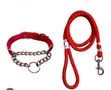 Dog/Cat Leash - Brand New - 1
