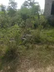 Land or Incomplete 2-Bedroom House for Sale, Appolonia City - 3