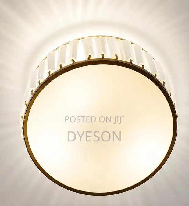 8809/320 Ceiling Light - 1