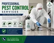 Pest Control & Fumigation Services - 2