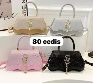 Classic Multicolored Leather Handbags (Set of 2)