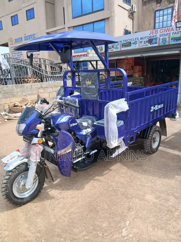 New Motorized Tricycle - Blue - 1