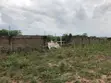 Registered Plots for Sale in Ashalaja, Ga-West - 2