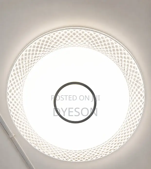 8315/500 Ceiling Light - 1
