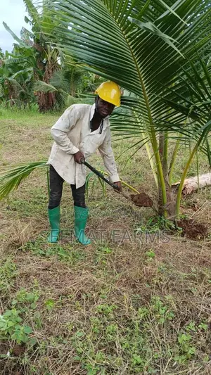 Farm Workers Wanted - Sefmat Farms