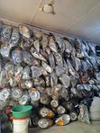 Used Headlights for Toyota, Hyundai, Chevrolet, Kia, Honda - 1