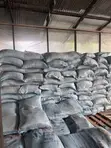 Quality Cotton Seed - 2