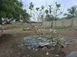 1.5 Acre Roadside Titled Land at Nsamanpom, Madina for Sale - 4