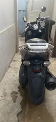 Yamaha Majesty 2024 Scooter - 1
