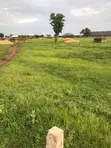 Residential Plot for Sale in Tamale Municipal - 3