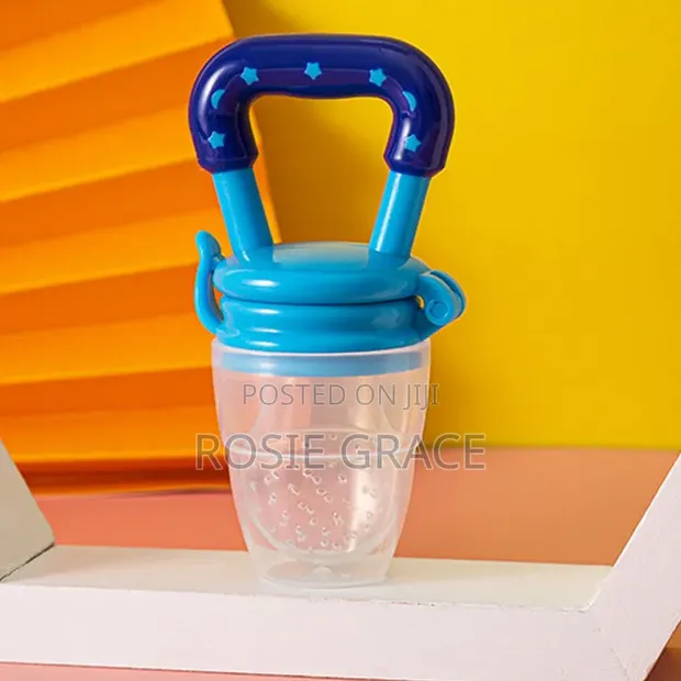 Fruit Pacifier - 1