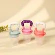 Fruit Pacifier - 4