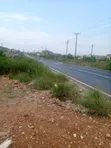 TDC Palm Estate Land for Sale - 4