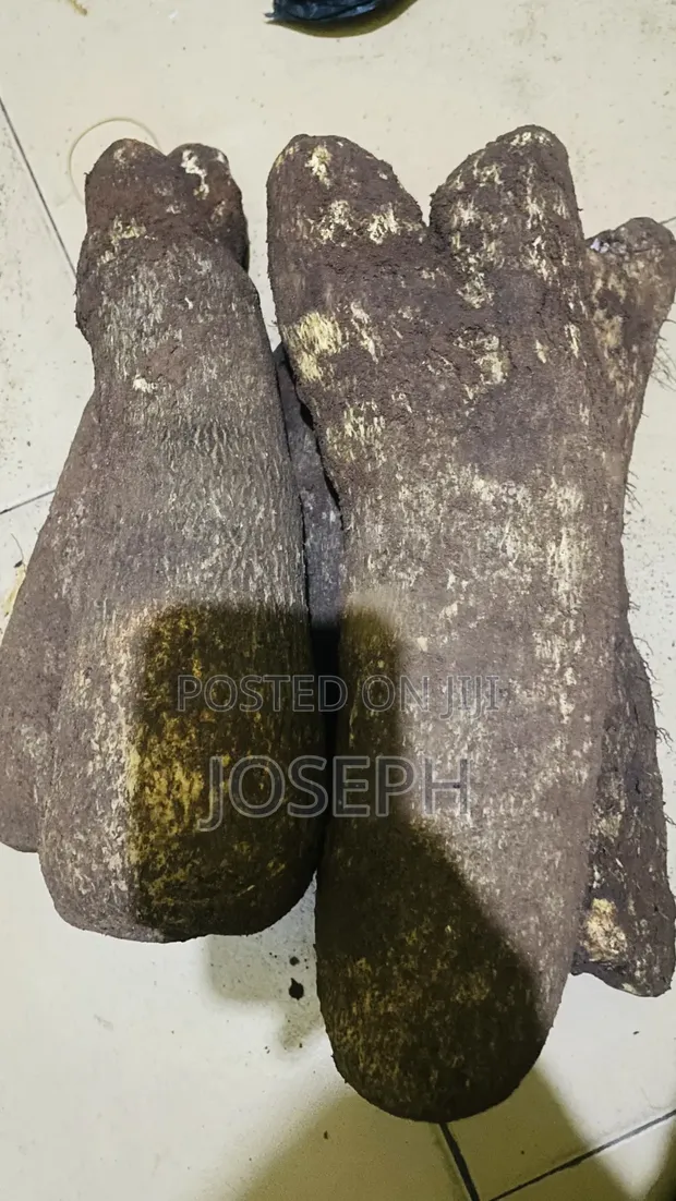 Fresh Yam Tubers for Sale - 50 Tubers - 1