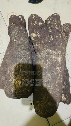 Fresh Yam Tubers for Sale - 50 Tubers