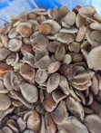 Nigeria Fresh Food Stuffs - Kumasi - 1
