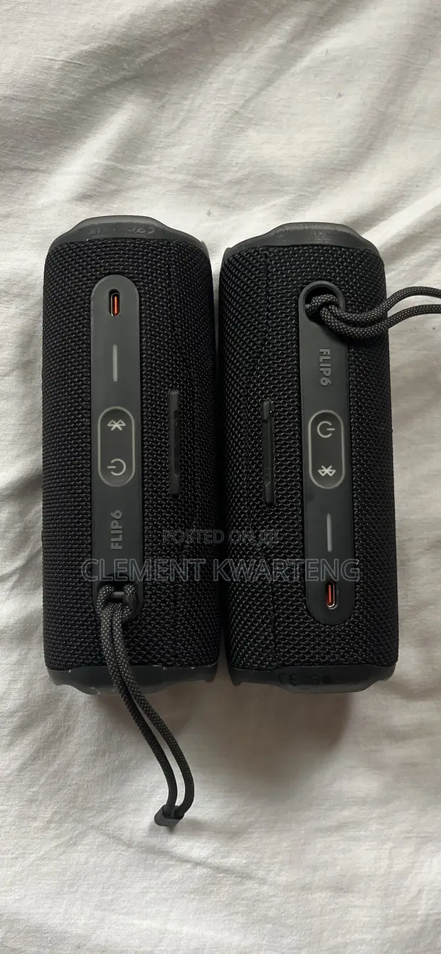 JBL Flip 6 Portable Bluetooth Speaker - 1
