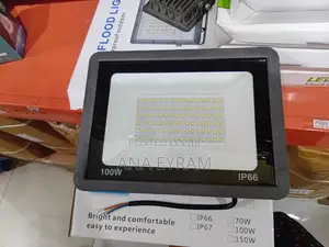 100W Black Flood Light