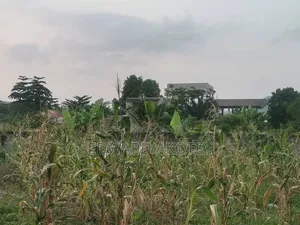 Building Plots for Sale at Green Valley, Ho Municipal