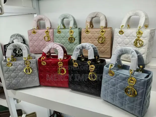 Dior Style Handbag - 1