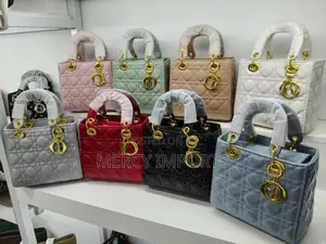 Dior Style Handbag