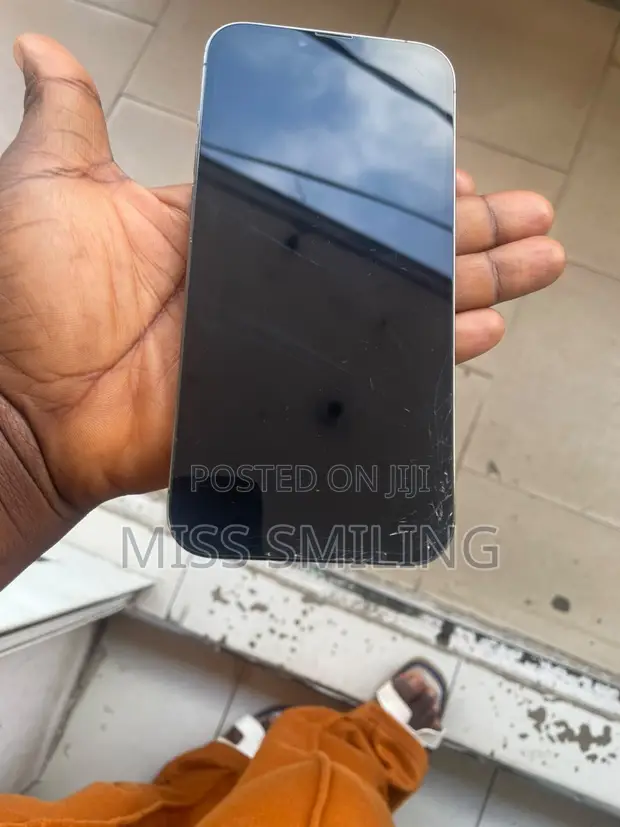 Apple iPhone 13 Pro Max 256GB Graphite - 1