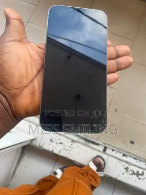 Apple iPhone 13 Pro Max 256GB Graphite