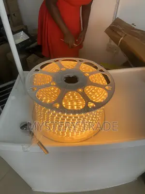 Warm LED Light with Choke (220v)