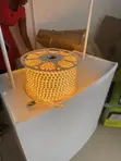 Warm LED Light with Choke (220v) - 2