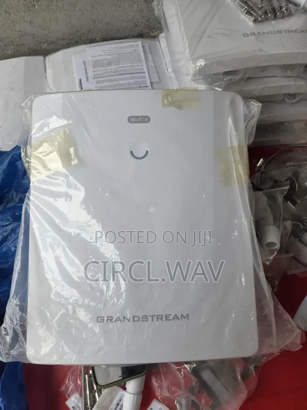 Grandstream GWN7664ELR Outdoor AX6000 Wi-Fi 6 Access Point - 1