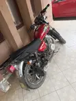 Royal RY125 2021 Red - 5