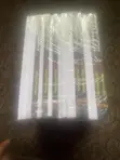 Hijacking of Flight GH570 - Book - 1