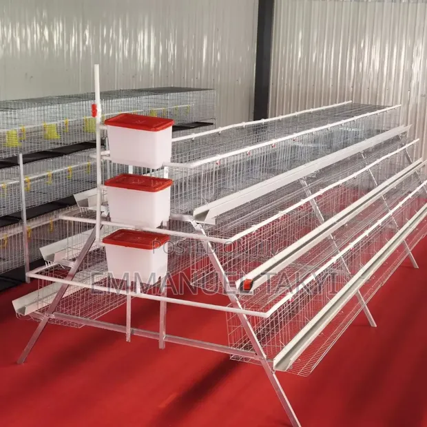 Brand New A-Shaped Chicken Cage - 1