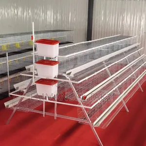 Brand New A-Shaped Chicken Cage