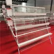Brand New A-Shaped Chicken Cage - 3