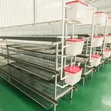 H-Shape Chicken Cage - Galvanized Steel - 2