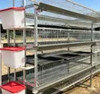 H-Shape Chicken Cage - Galvanized Steel - 4