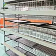 H-Shape Chicken Cage - Galvanized Steel - 5