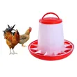 Brand New Chicken Feeder - 1