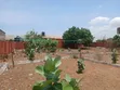 2 Plots with Old 4-Bedroom House for Sale, Spintex Lashibi - 5
