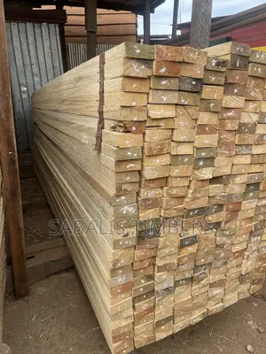 Pure Wawa 2x4 Timber for Decking & Flooring