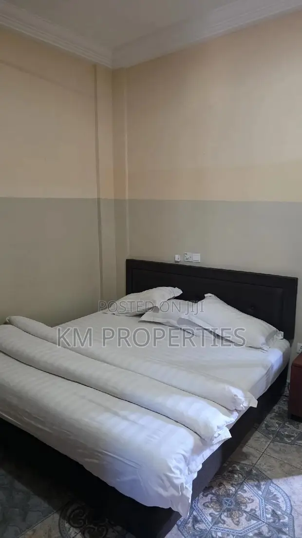 Fully-Furnished Single Apartment for Short Let - West Legon - 1