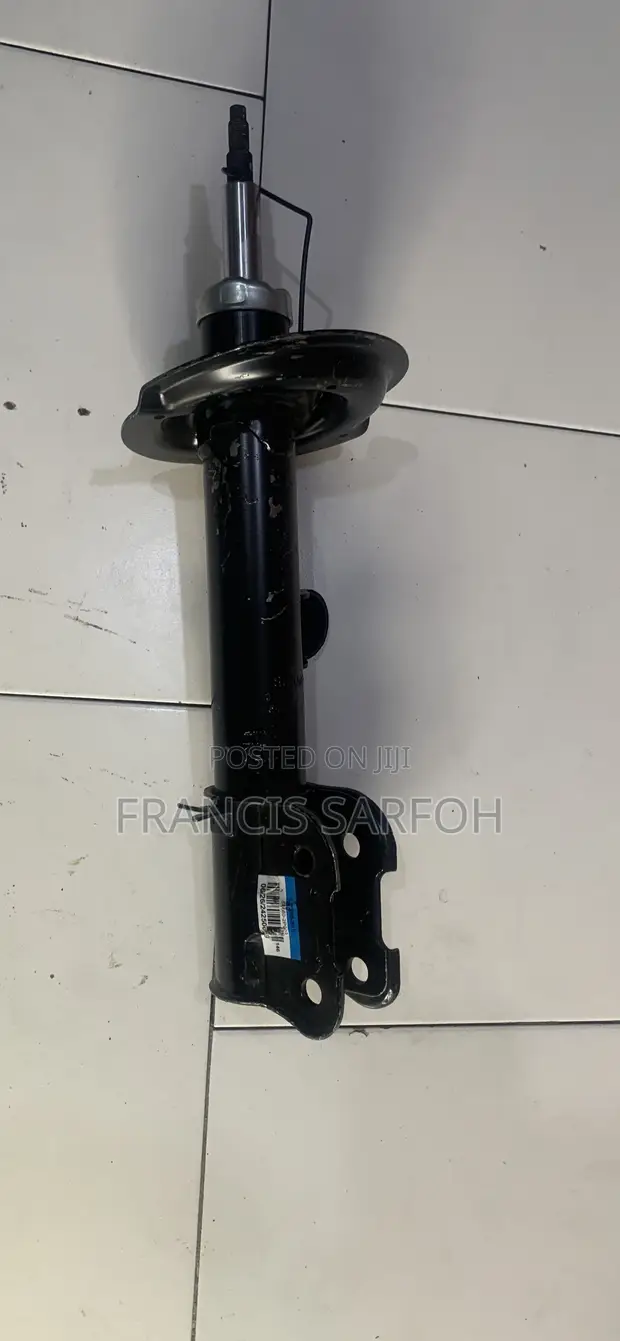 Hyundai Santa Fe 2010 Front Shocks - 1