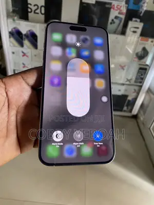 Apple iPhone 15 Pro Max 256GB Silver