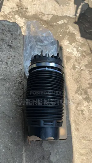 Dodge Ram 2019-2020 Rear Shock Absorber