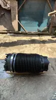 Dodge Ram 2019-2020 Rear Shock Absorber - 2
